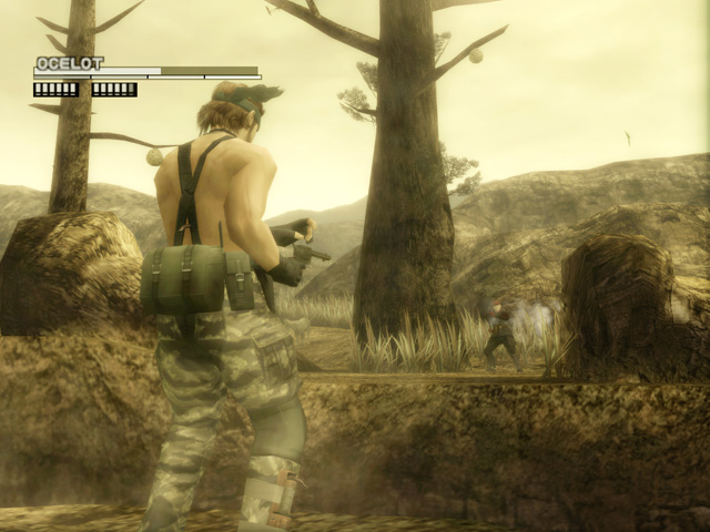 Metal Gear Solid 3: Snake Eater HD wallpapers, Desktop wallpaper - most viewed