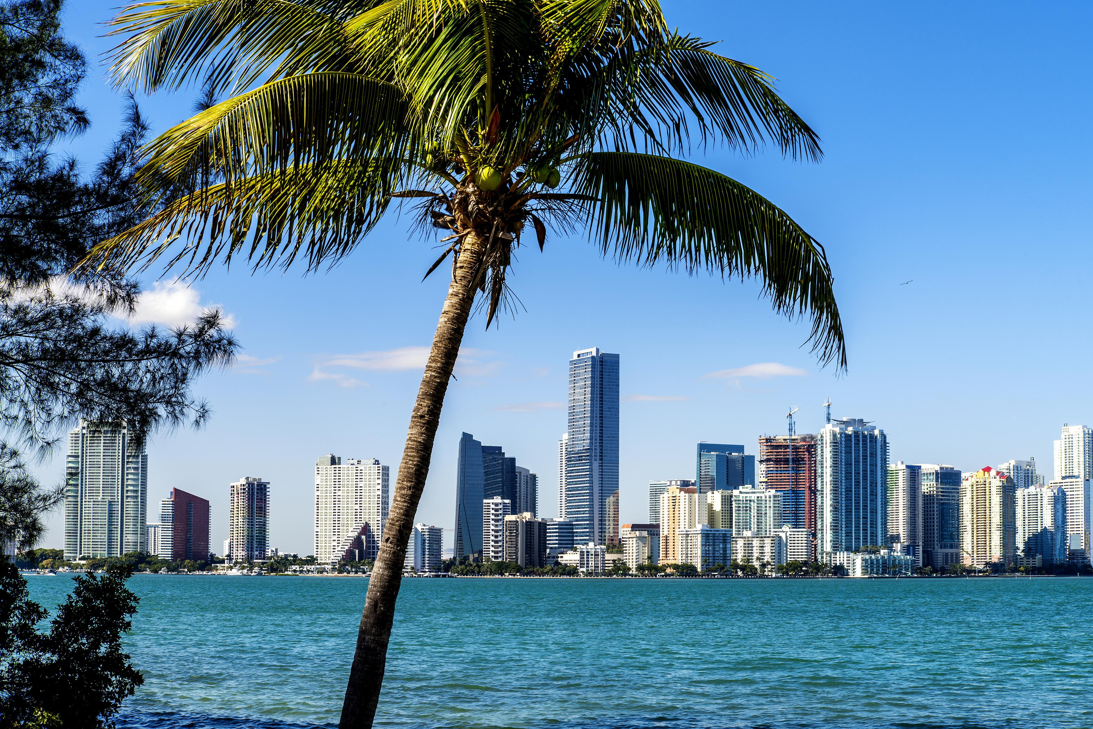 Miami Backgrounds, Compatible - PC, Mobile, Gadgets| 3500x2336 px
