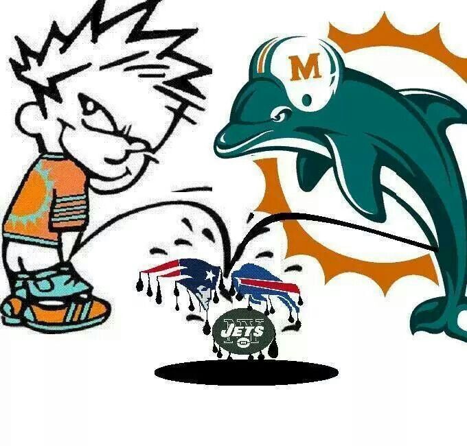 Miami Dolphins #23