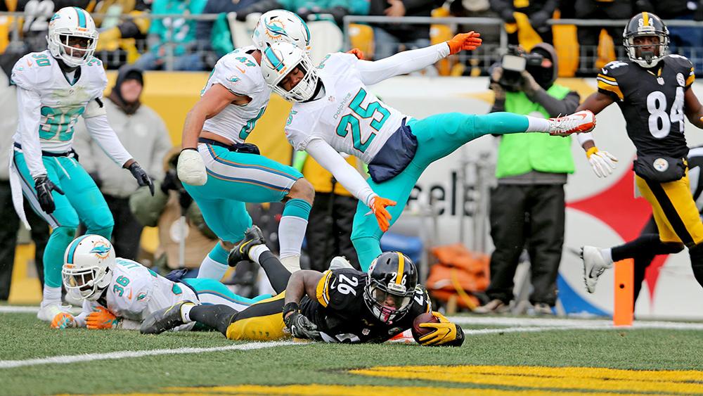 Images of Miami Dolphins | 1000x563