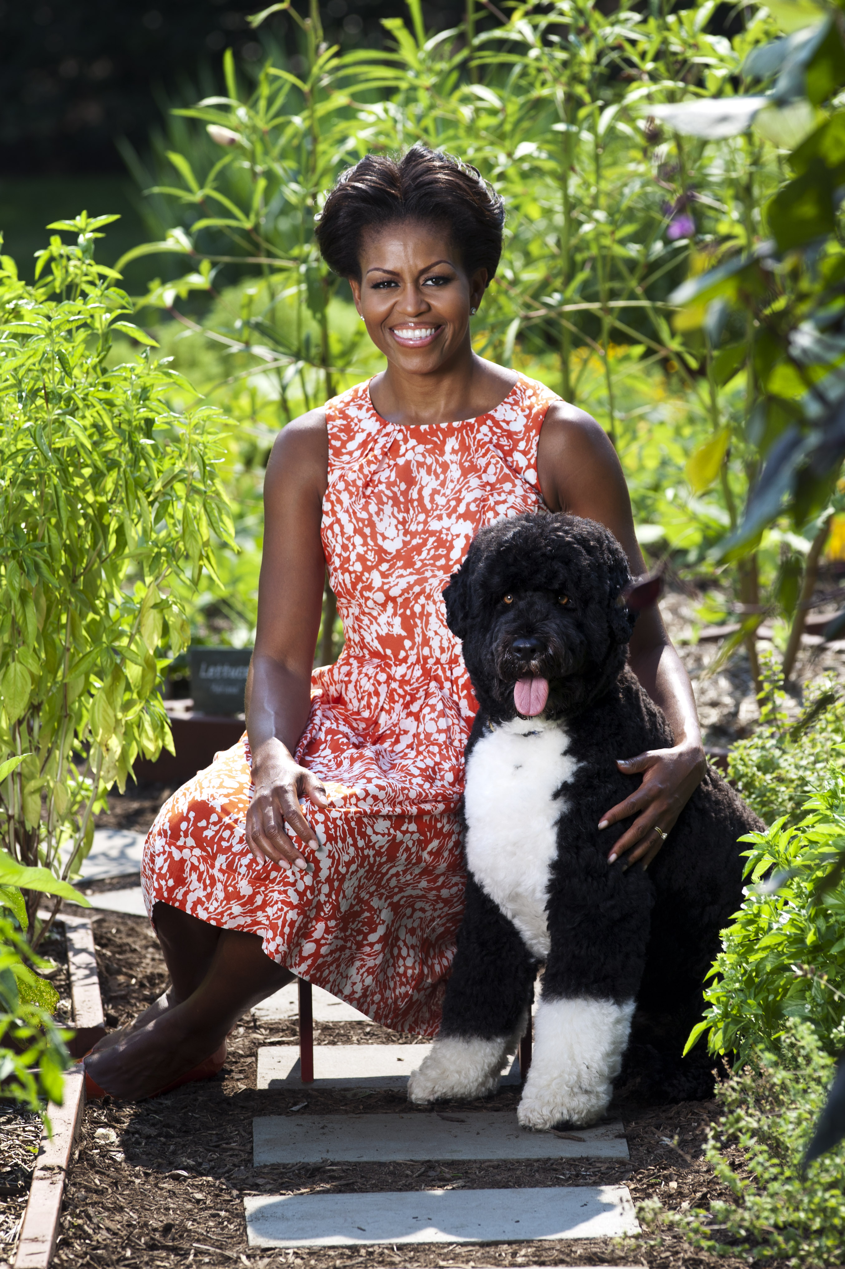Nice Images Collection: Michelle Obama Desktop Wallpapers