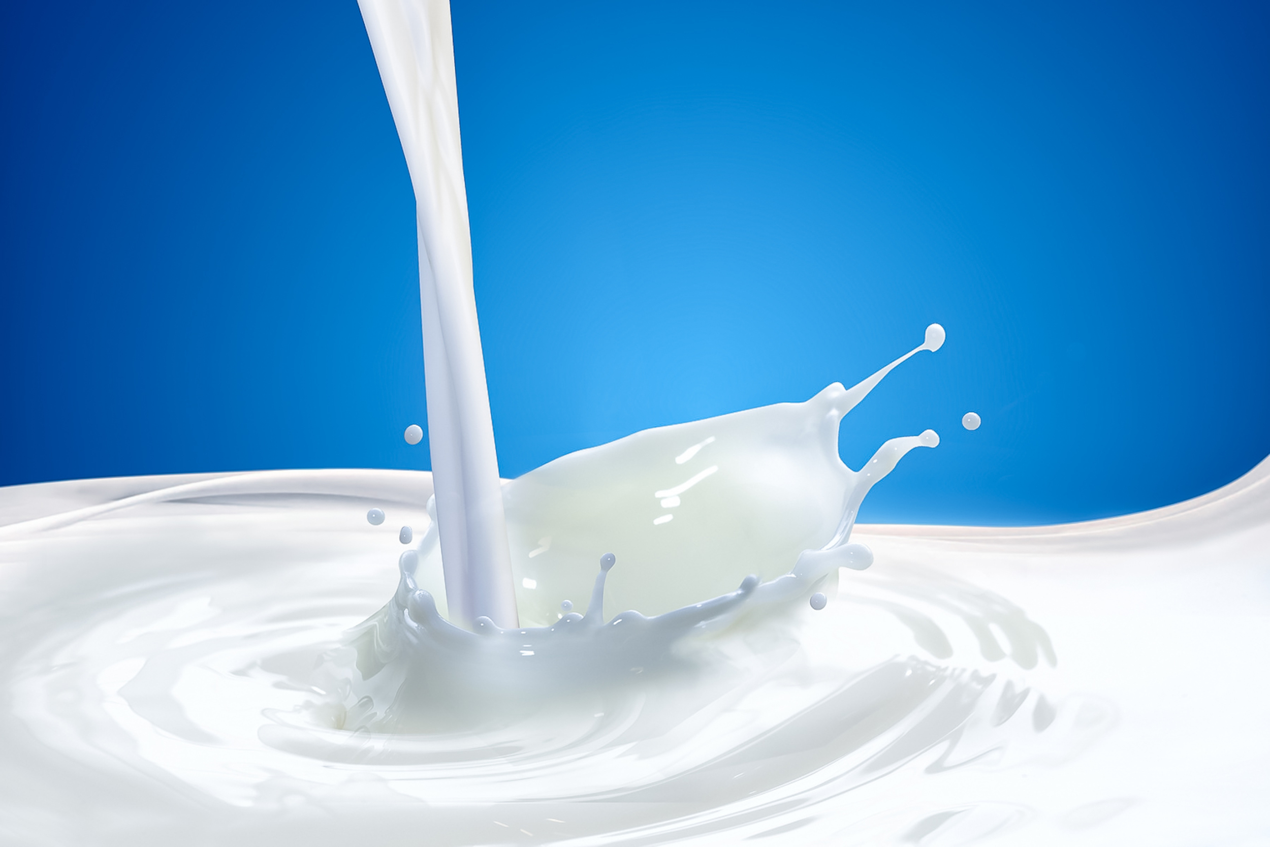 Milk #1