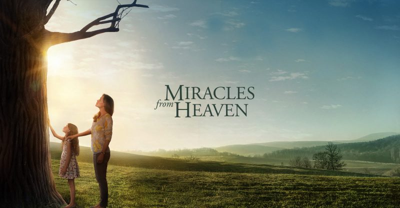 800x416 > Miracles From Heaven Wallpapers