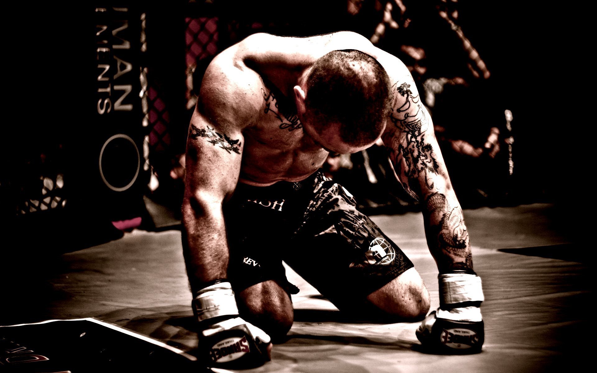 Nice wallpapers MMA 1920x1200px