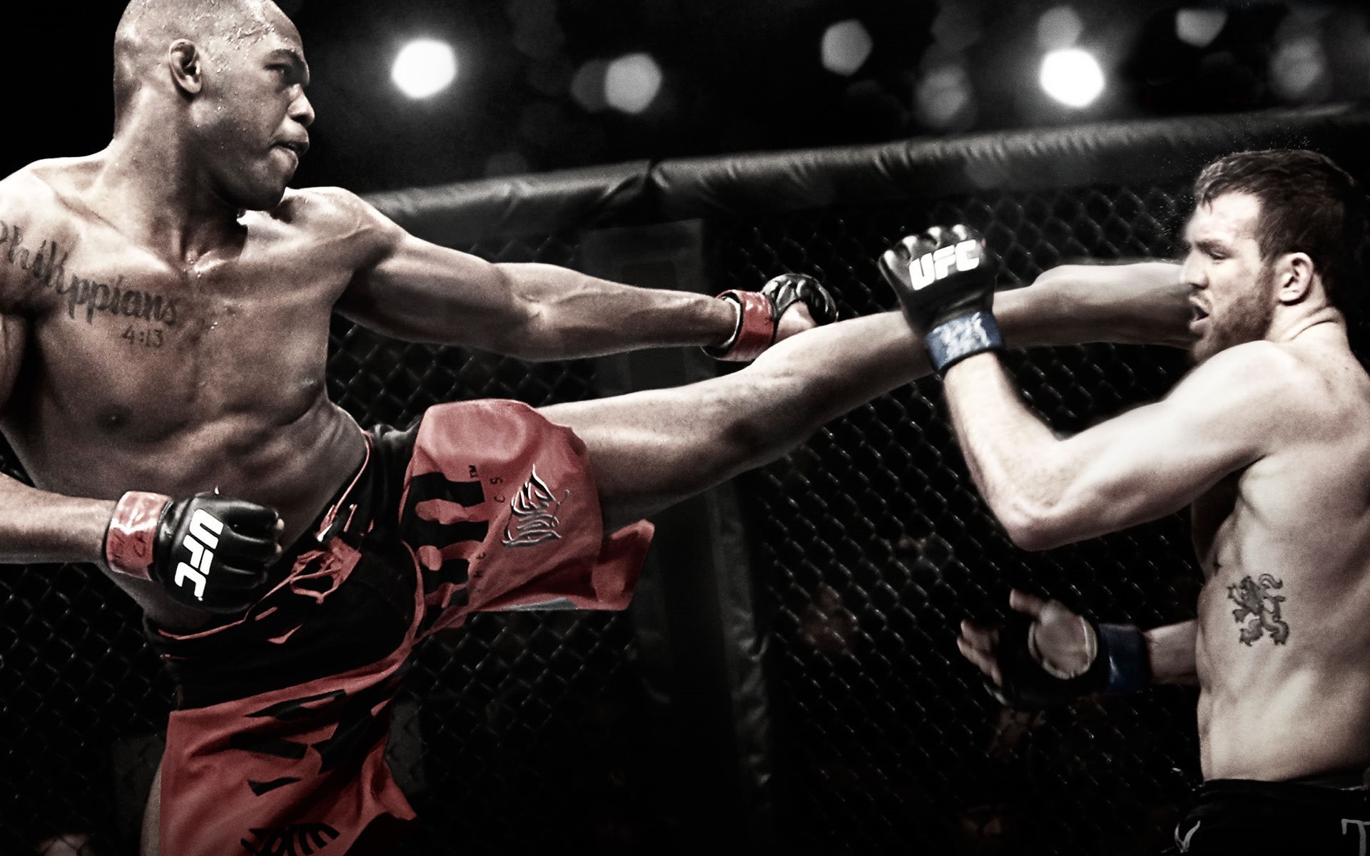 1920x1200 > MMA Wallpapers