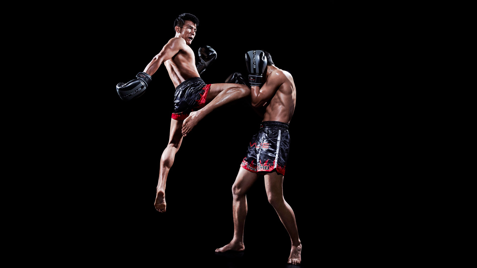 Nice Images Collection: MMA Desktop Wallpapers