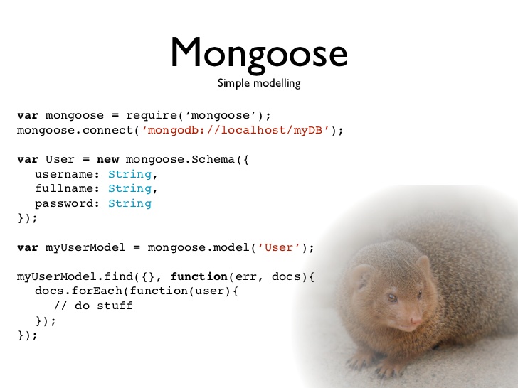 Mongoose Noda #23
