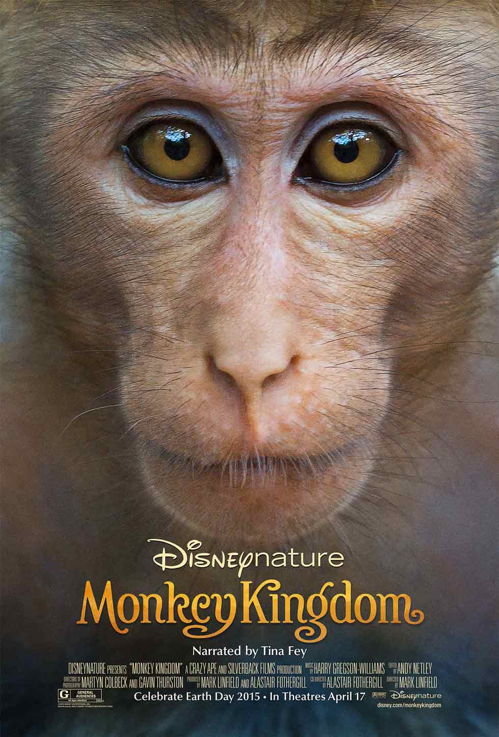 Monkey Kingdom #24