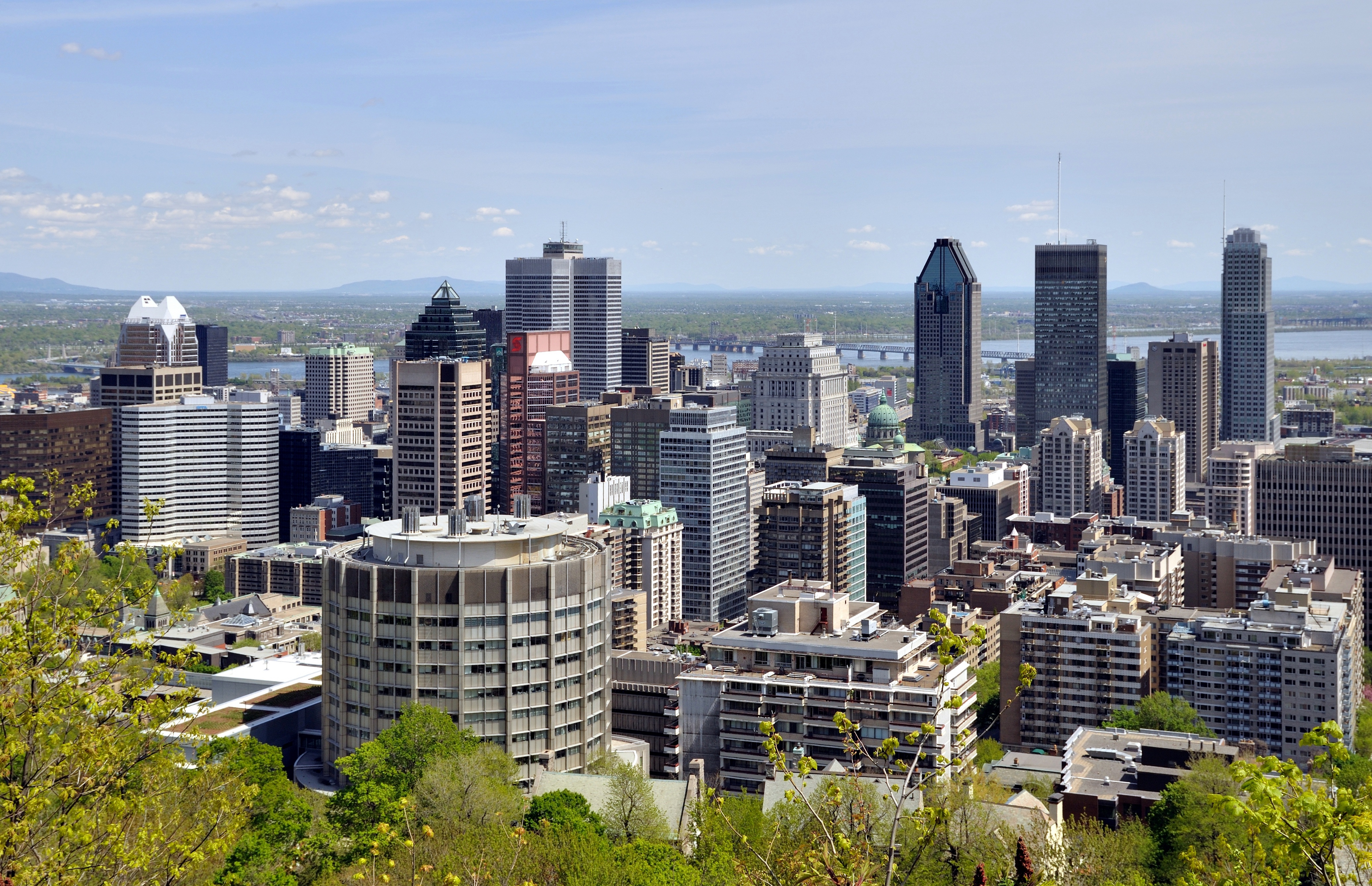 Montreal #8