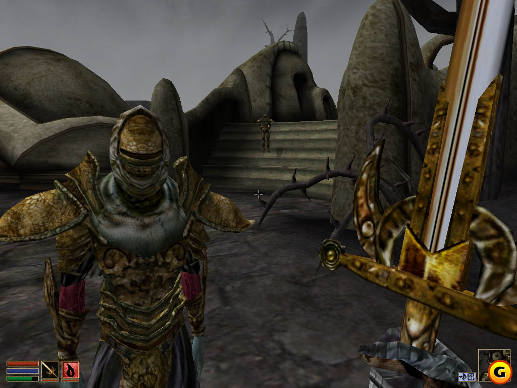 Morrowind Pics, Video Game Collection