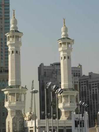 Images of Mosque Of Two Minarets | 337x450
