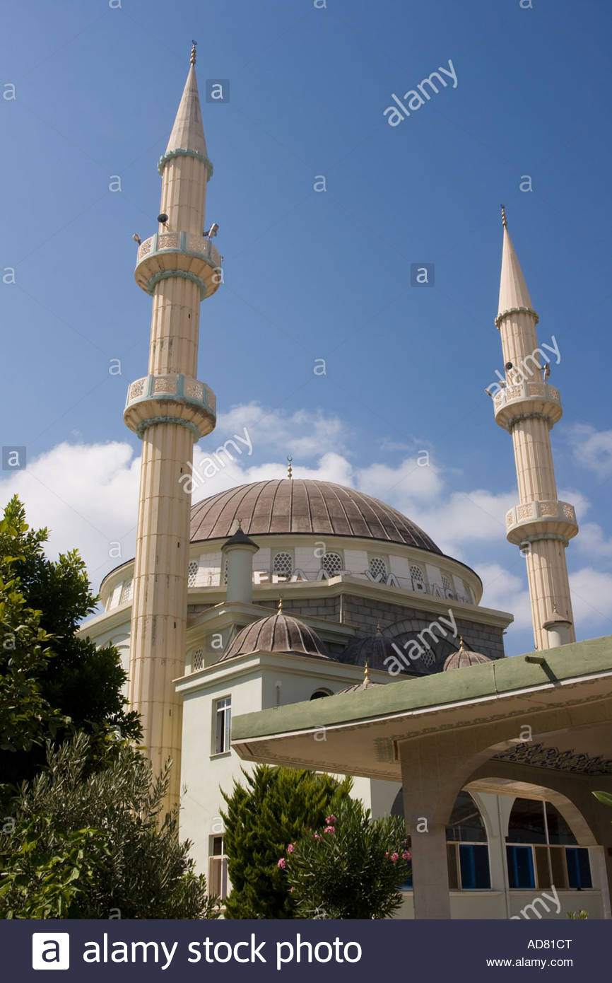 866x1390 > Mosque Of Two Minarets Wallpapers