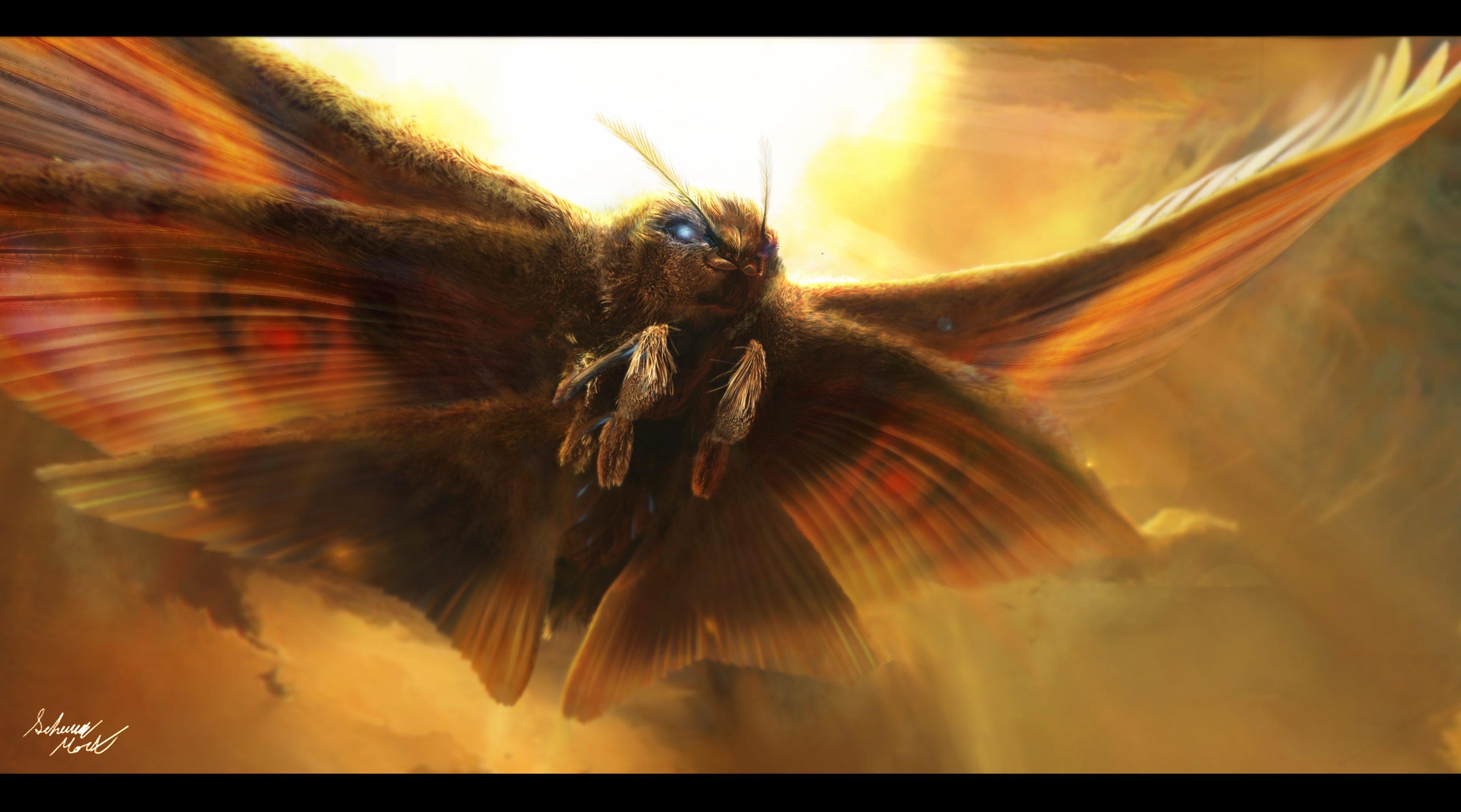 Images of Mothra 3598x2000. 