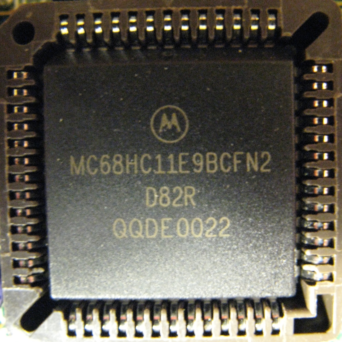 Nice Images Collection: Motorola Microcontroller Desktop Wallpapers