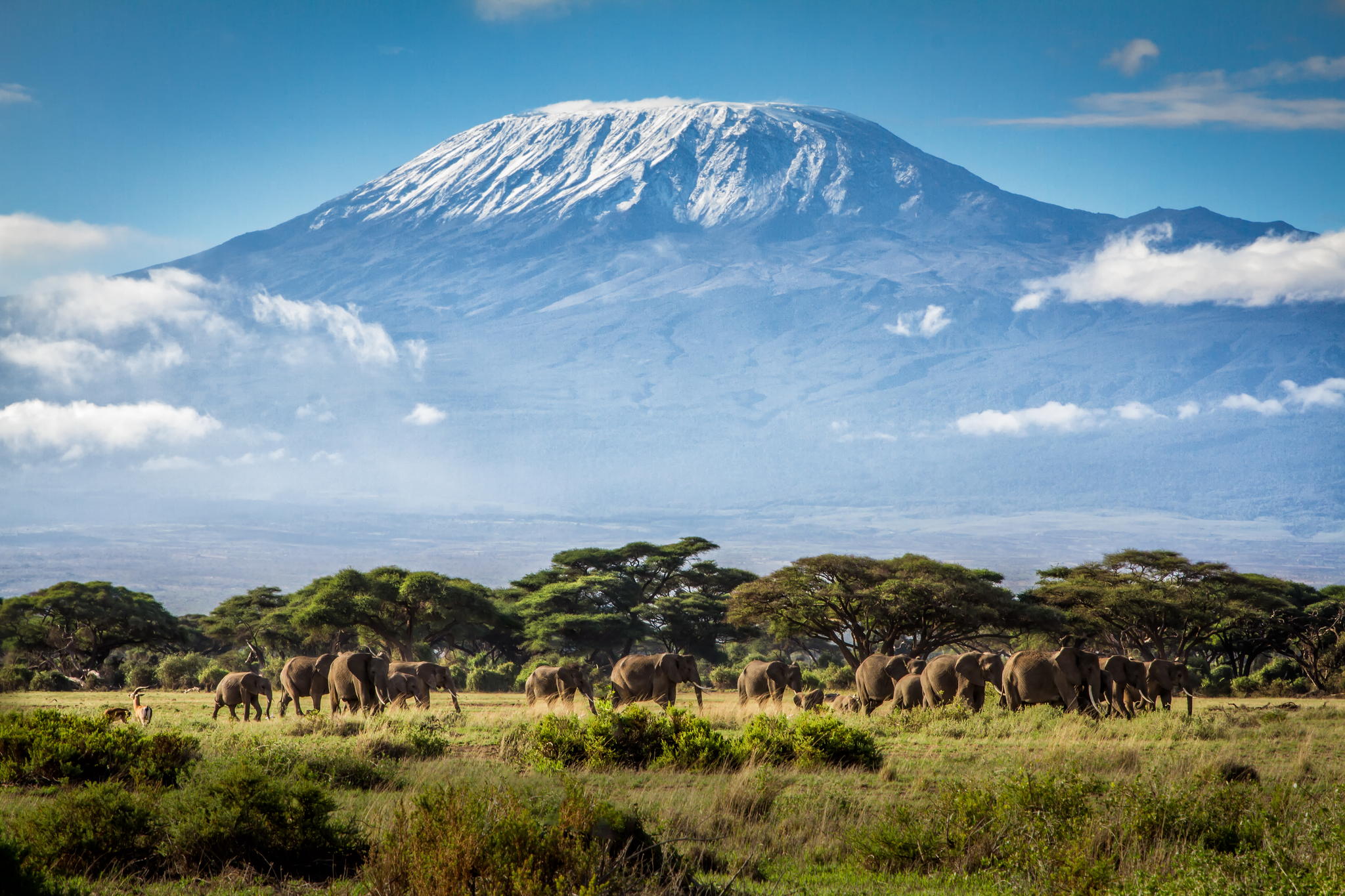 Nice Images Collection: Mount Kilimanjaro Desktop Wallpapers