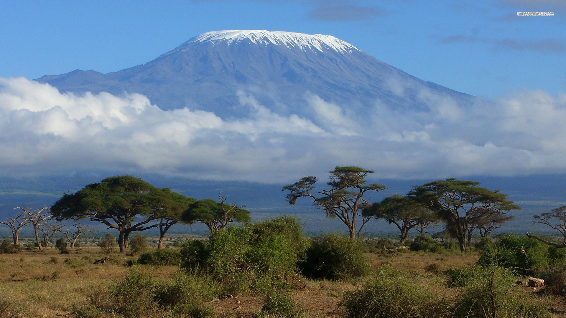 Nice wallpapers Mount Kilimanjaro 1920x1080px