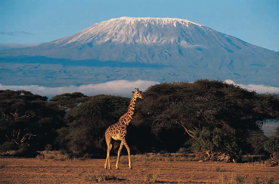 Mount Kilimanjaro Backgrounds, Compatible - PC, Mobile, Gadgets| 889x586 px