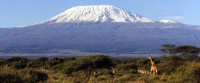HD Quality Wallpaper | Collection: Earth, 695x289 Mount Kilimanjaro