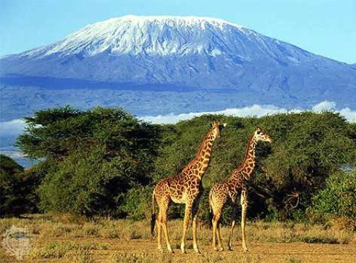Mount Kilimanjaro #16