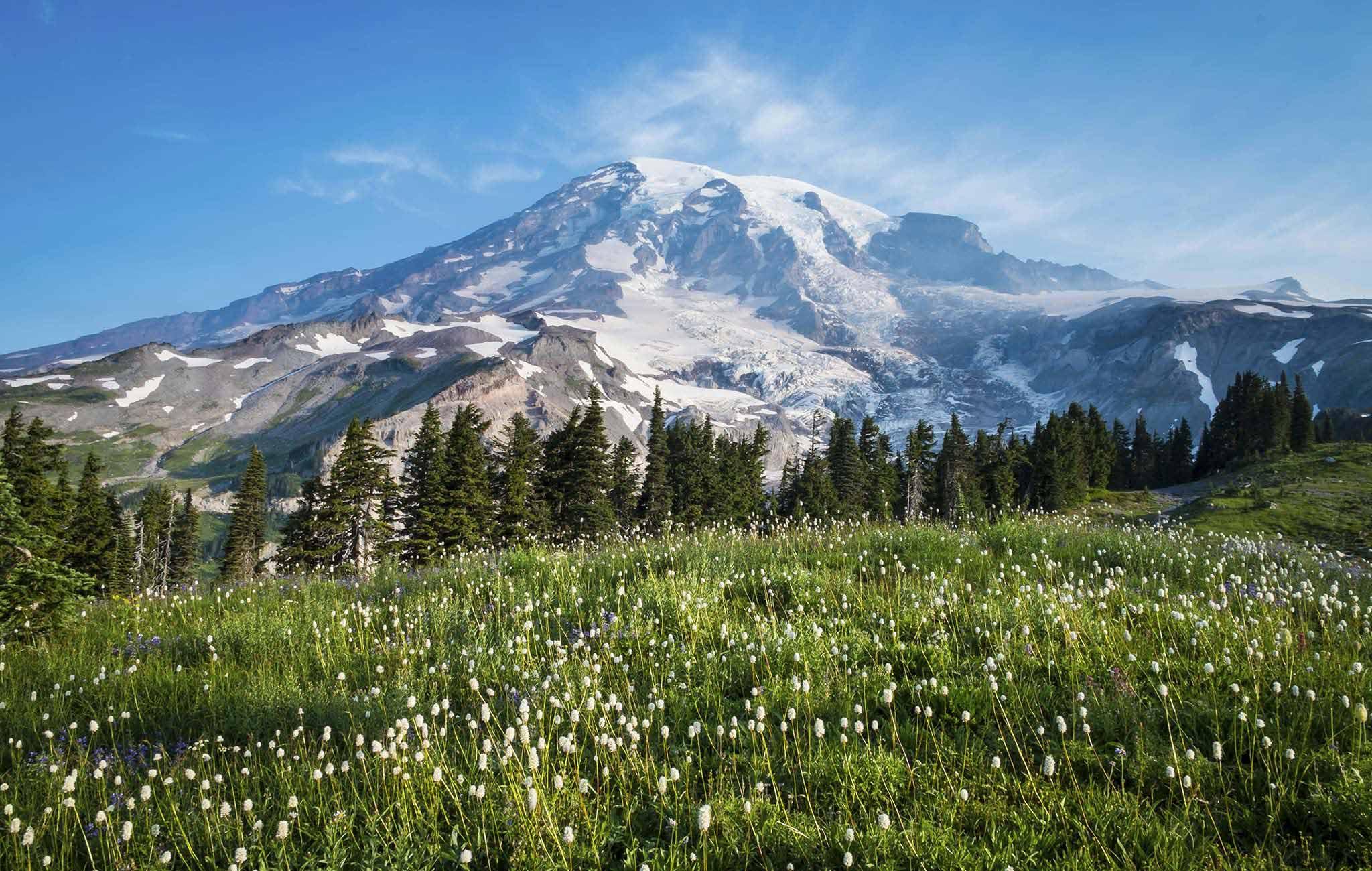 Mount Rainier Pics, Earth Collection