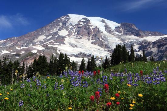 Mount Rainier HD wallpapers, Desktop wallpaper - most viewed