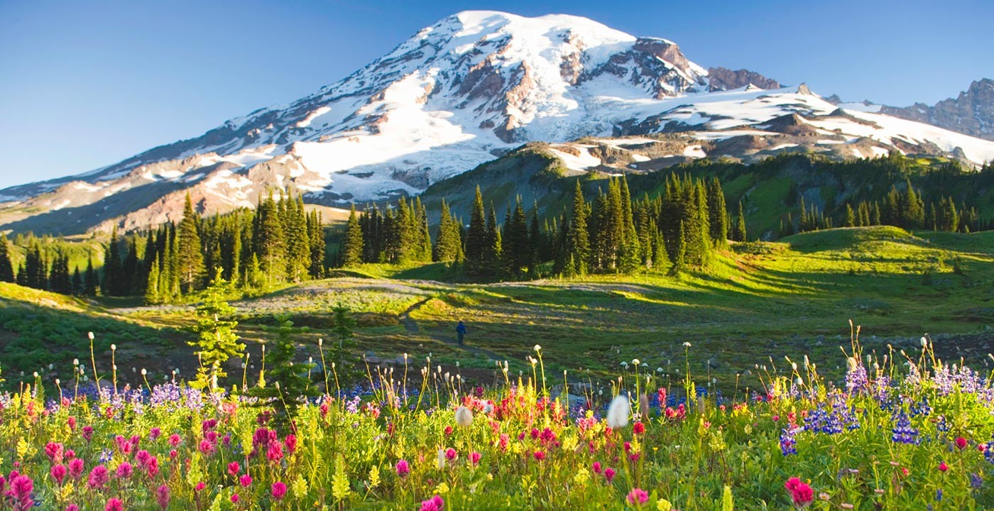 Mount Rainier High Quality Background on Wallpapers Vista