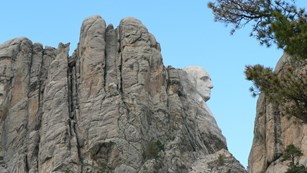 Mount Rushmore #8