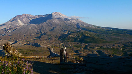 Mount St. Helens Backgrounds, Compatible - PC, Mobile, Gadgets| 460x259 px