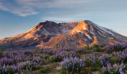 Mount St. Helens #17