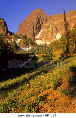 Mount Three Fingered Jack Pics, Earth Collection