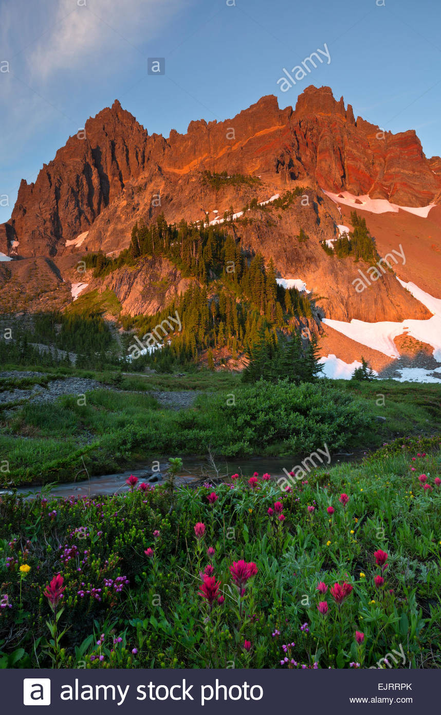 Nice wallpapers Mount Three Fingered Jack 858x1390px