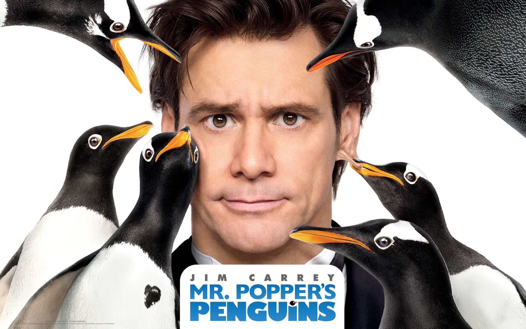 Nice Images Collection: Mr. Popper's Penguins Desktop Wallpapers