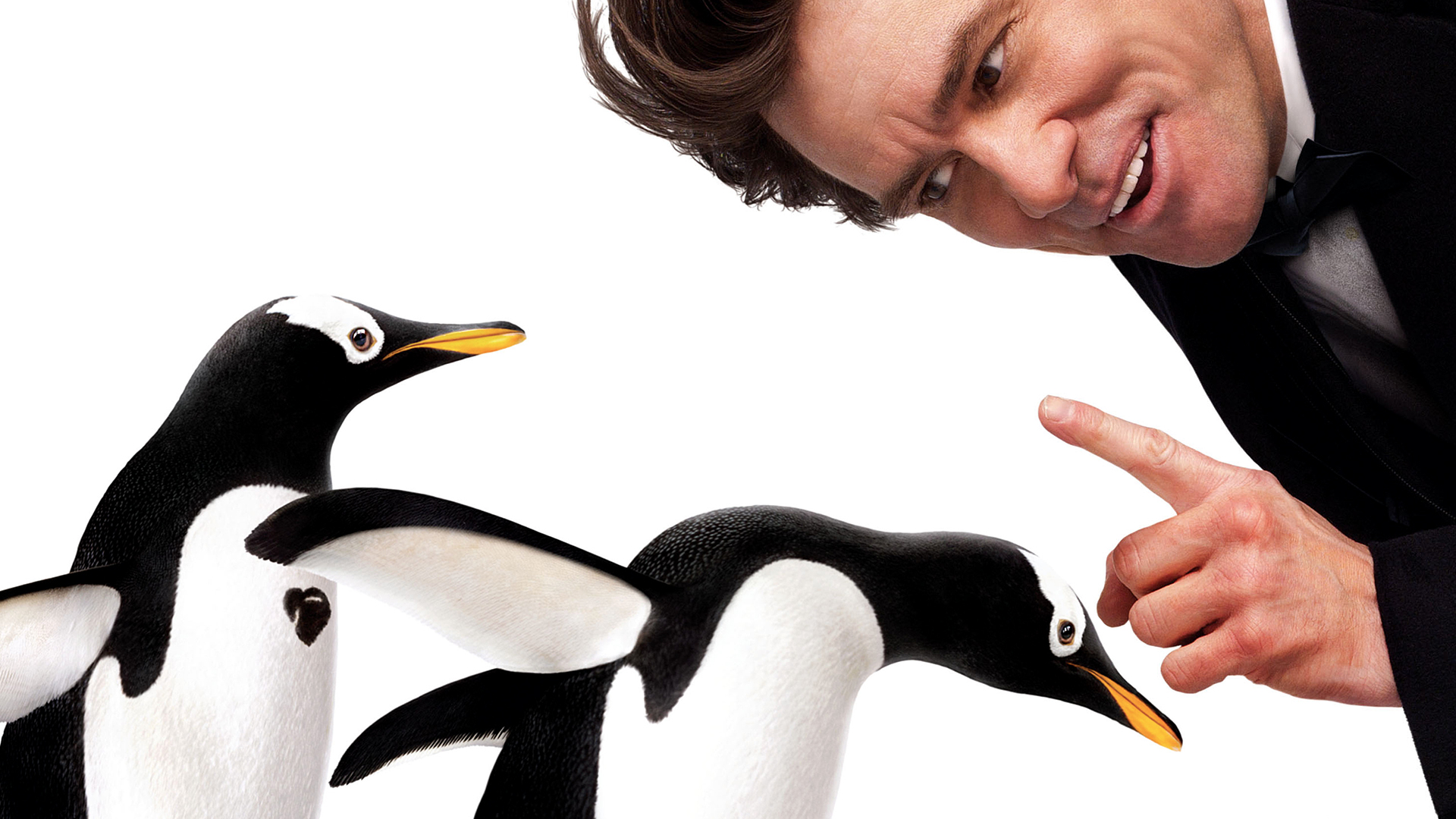 Mr. Popper's Penguins HD wallpapers, Desktop wallpaper - most viewed