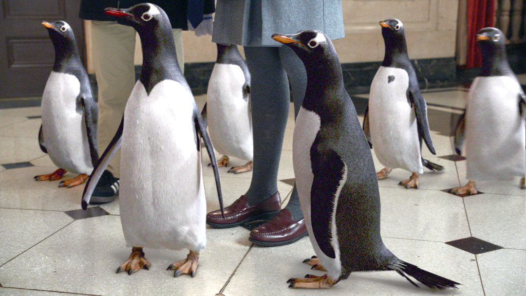 Mr. Popper's Penguins #20