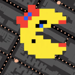 Ms. Pac-man Pics, Video Game Collection