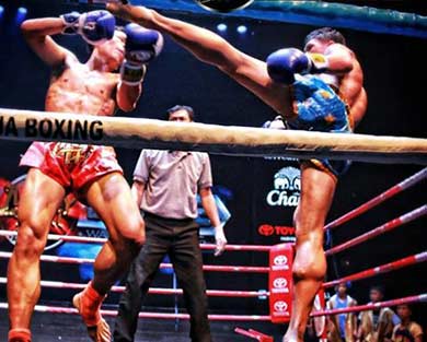 HD Quality Wallpaper | Collection: Sports, 390x313 Muay Thai Boxing