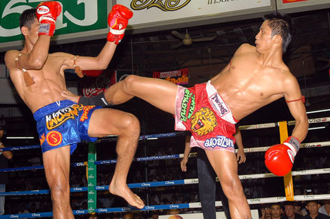 HQ Muay Thai Boxing Wallpapers | File 59.11Kb