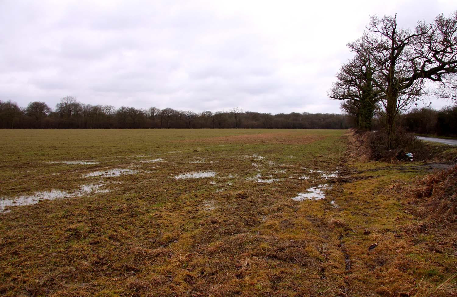 Muddy Field #2