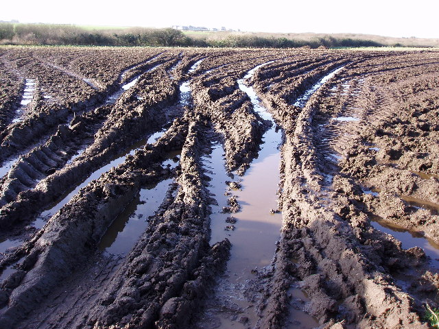 Muddy Field #18