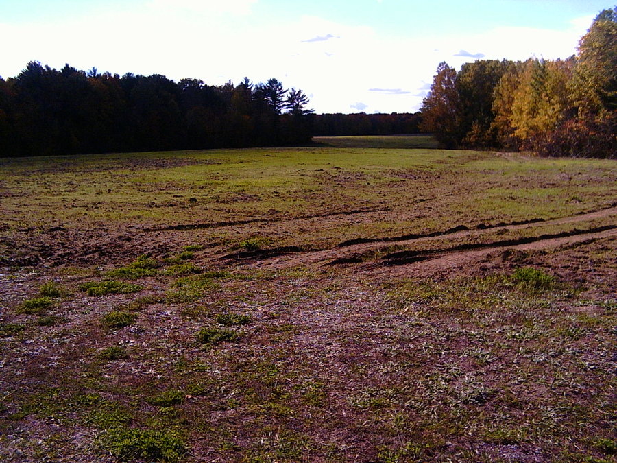 Muddy Field #22
