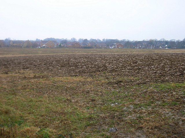 Muddy Field #13
