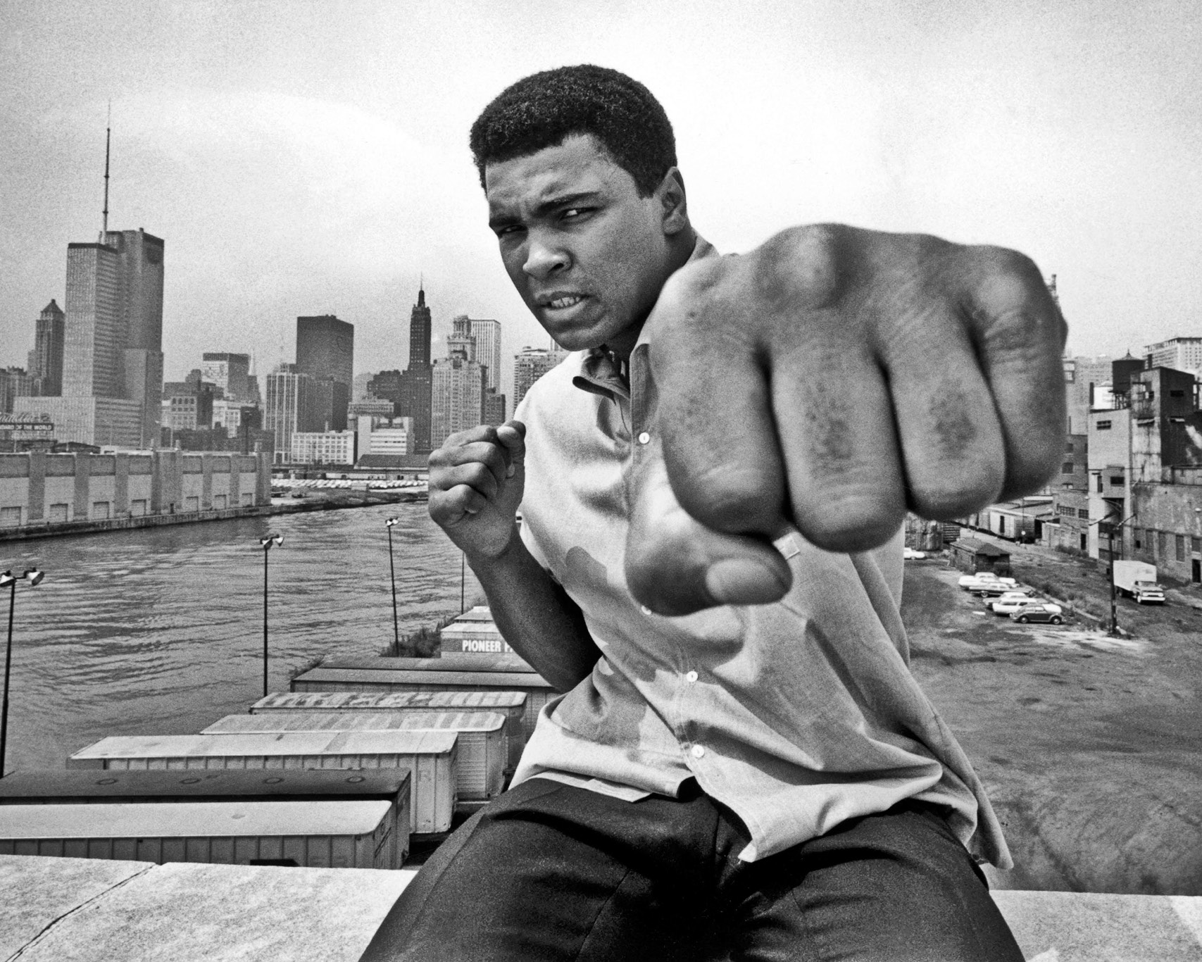 Muhammad Ali HD wallpapers, Desktop wallpaper - most viewed