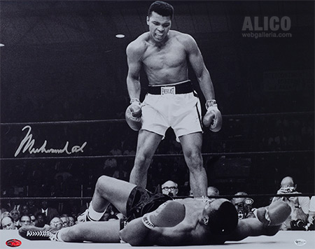 Muhammad Ali #15
