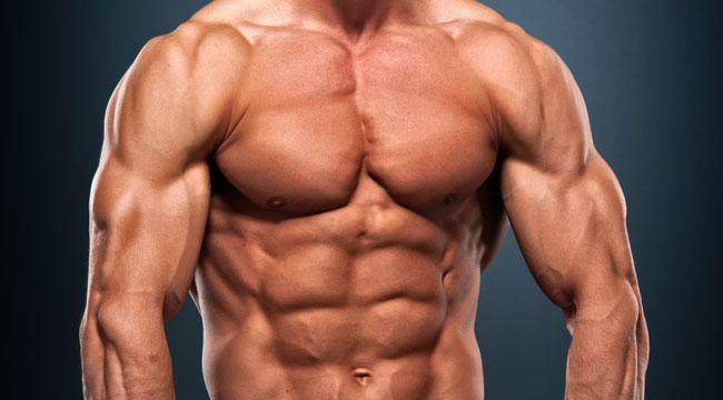 650x360 > Muscle Wallpapers