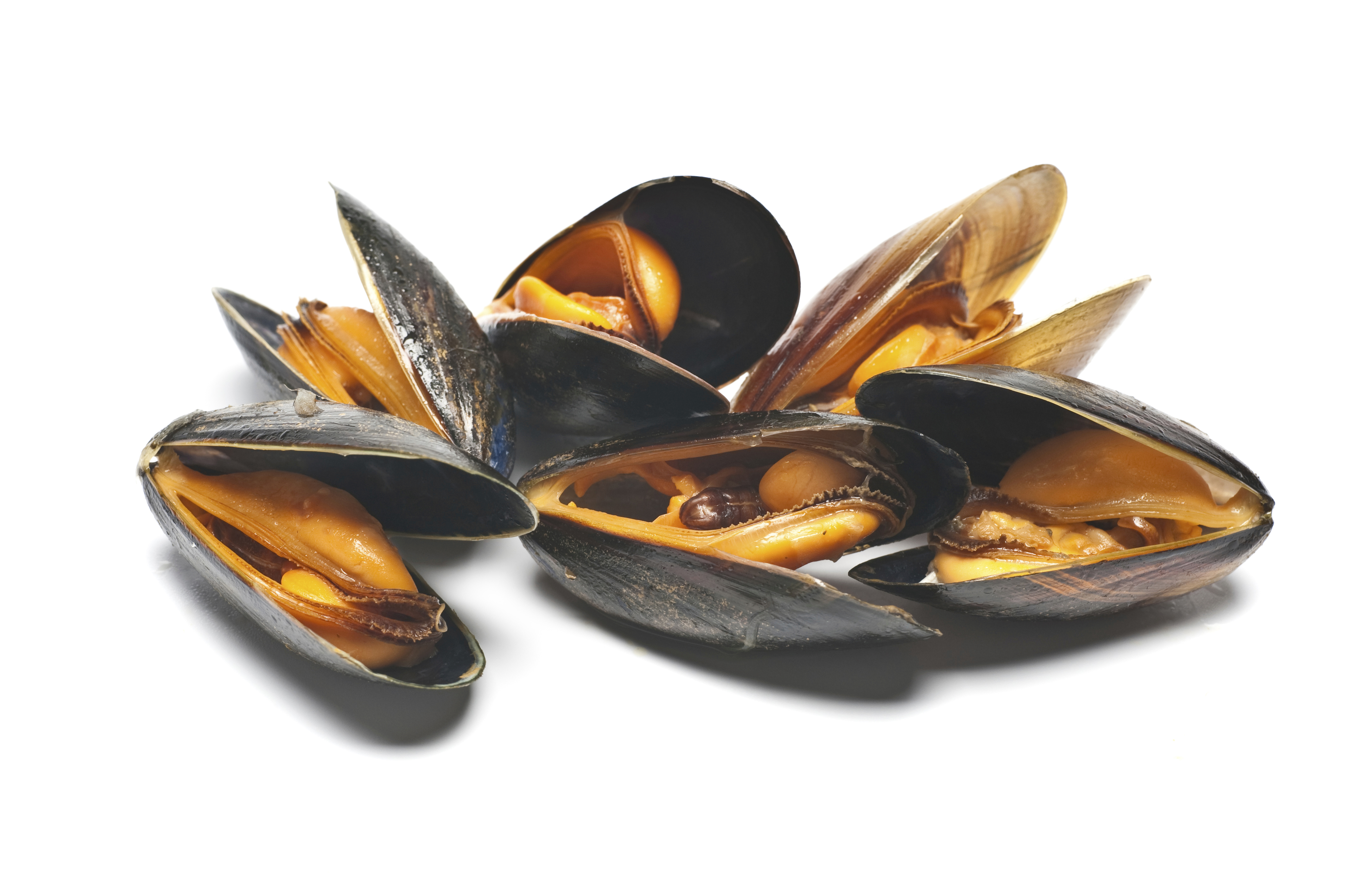 4256x2832 > Mussels Wallpapers