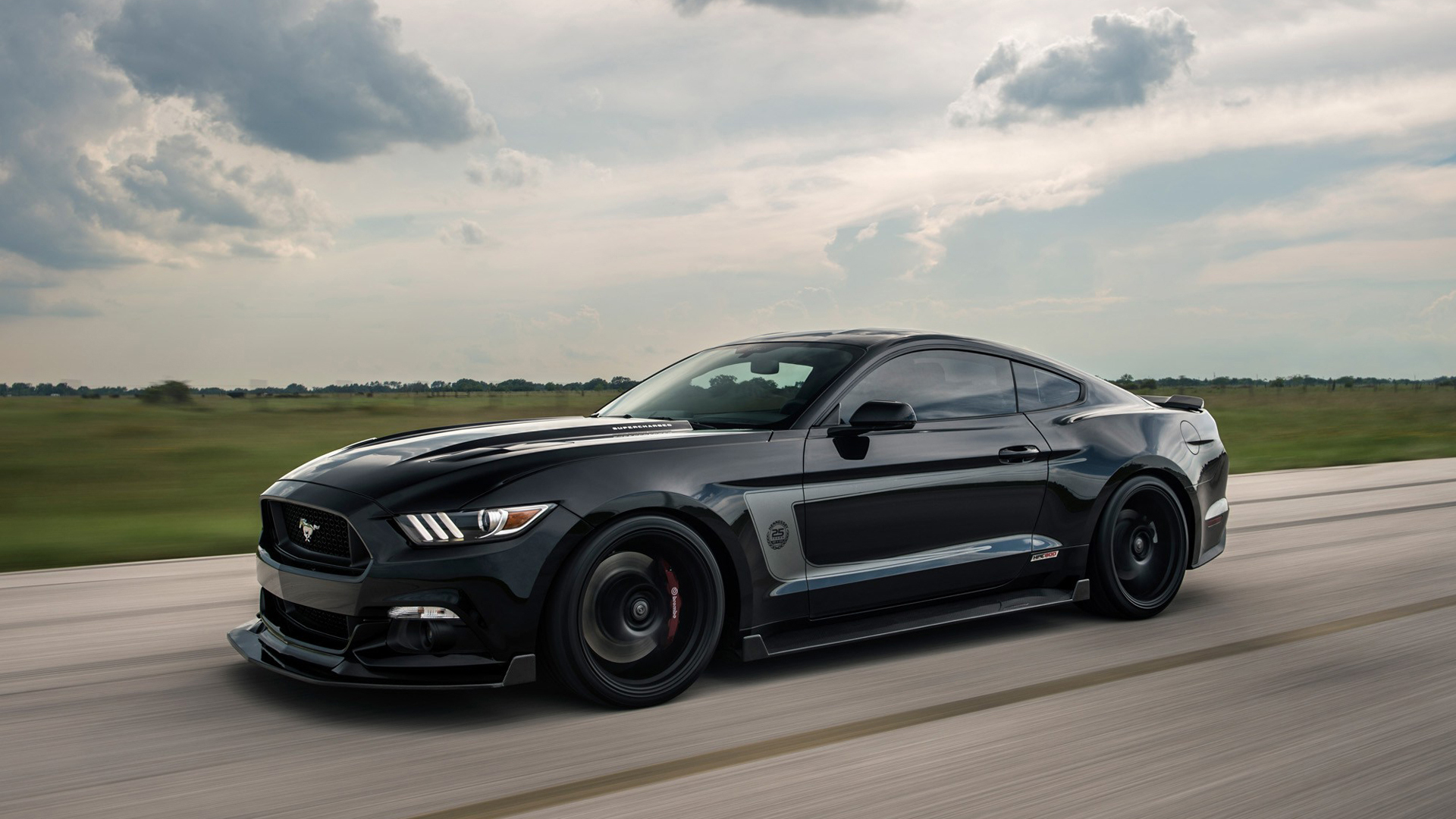 Mustang #15