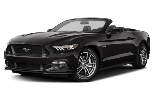Mustang #3