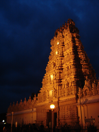 Mysore Palace #17