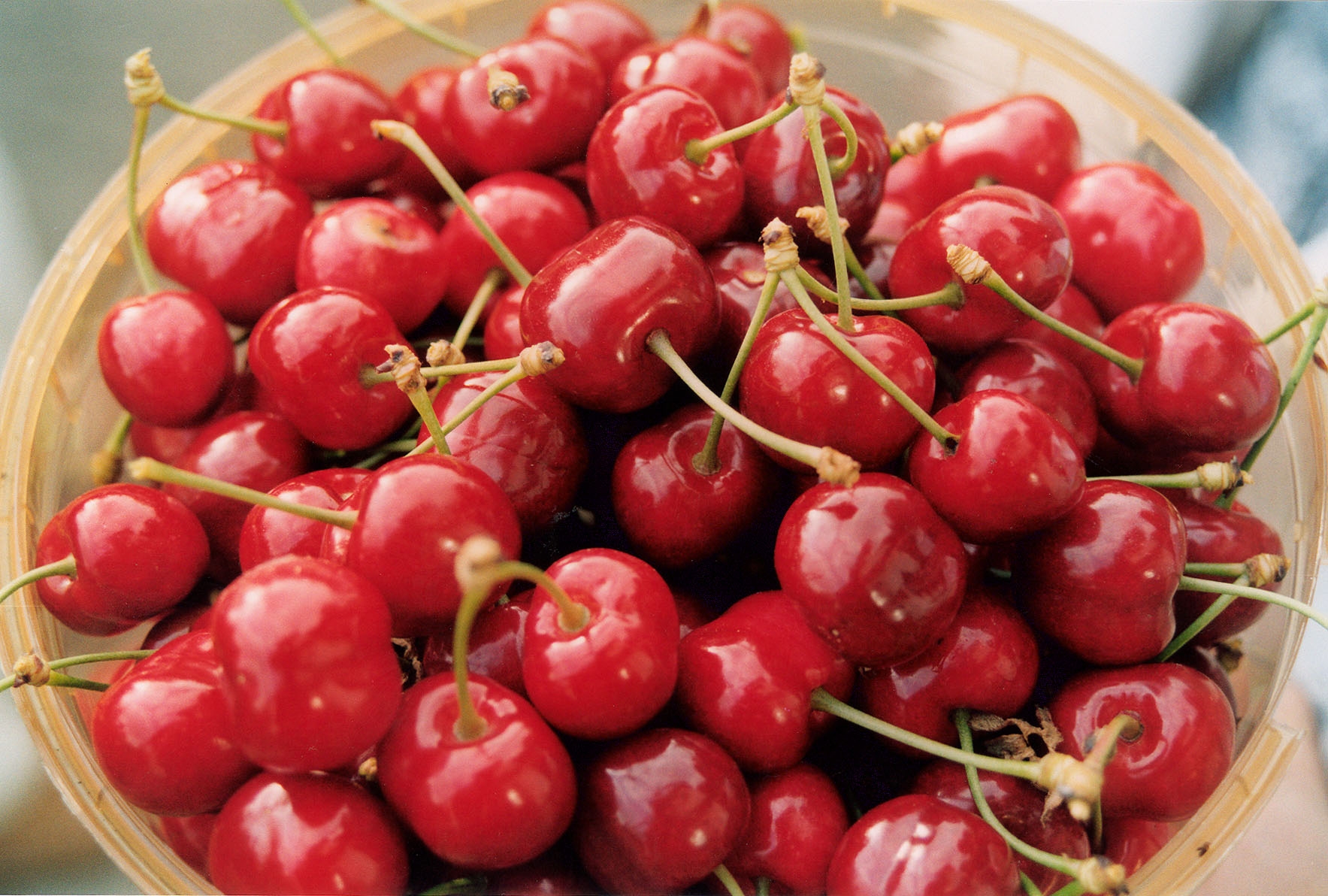 National Cherry Month High Quality Background on Wallpapers Vista