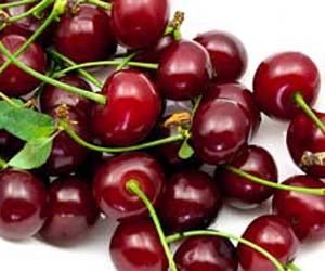 National Cherry Month Backgrounds, Compatible - PC, Mobile, Gadgets| 300x250 px